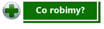 Co Robimy